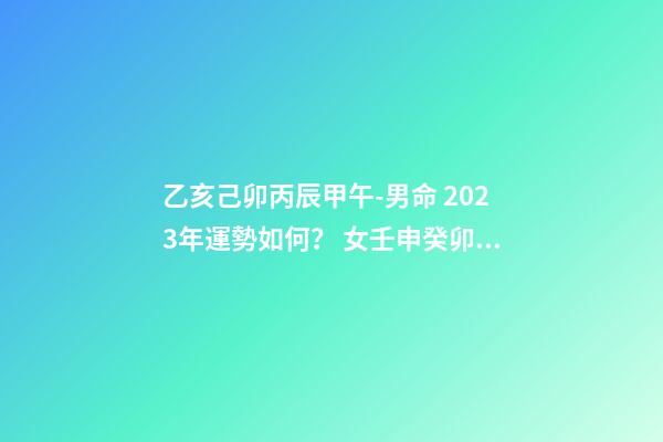 乙亥己卯丙辰甲午-男命 2023年運勢如何？ 女壬申癸卯丁亥辛丑，2023年運勢怎么樣，謝謝